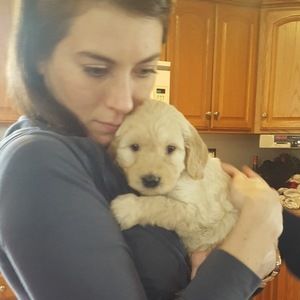 Meet your Posher, Natalie